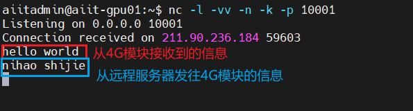 image-20240628144338917